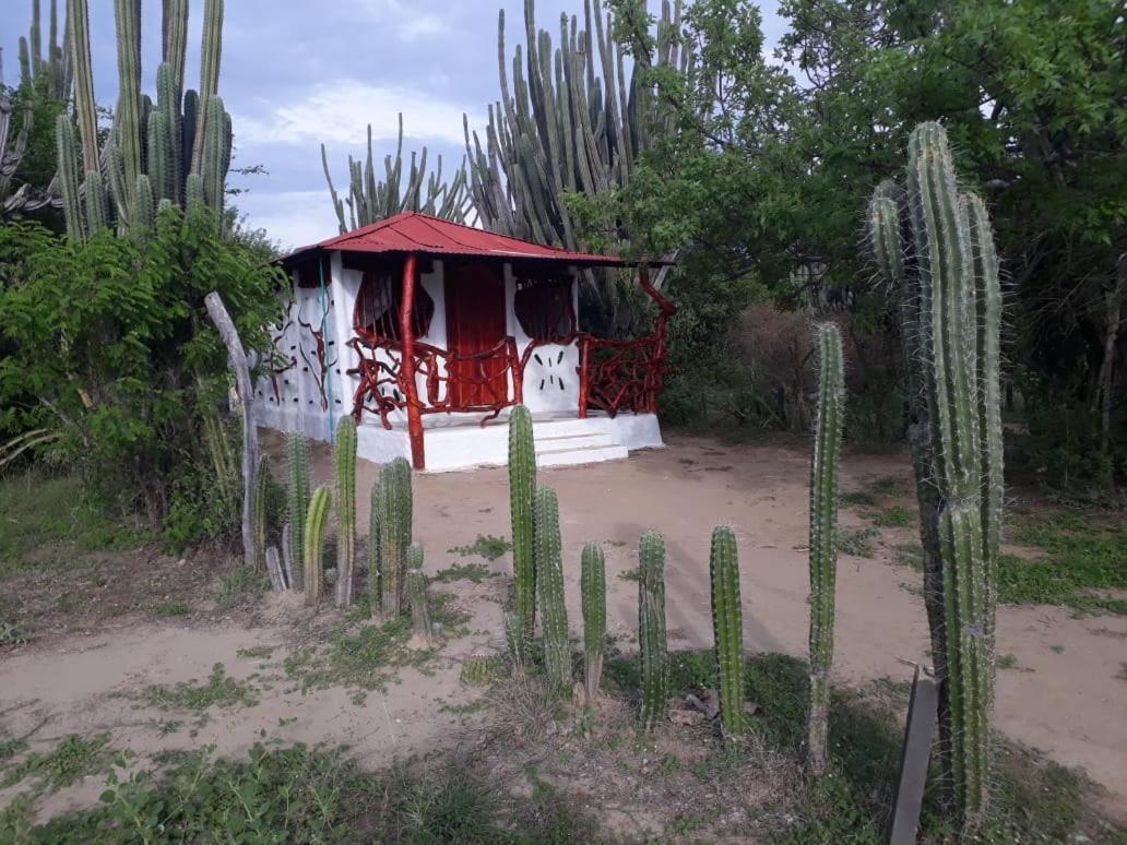 El Penon De Constantino - Tatacoa Hotel วิลญาเวียคา ภายนอก รูปภาพ